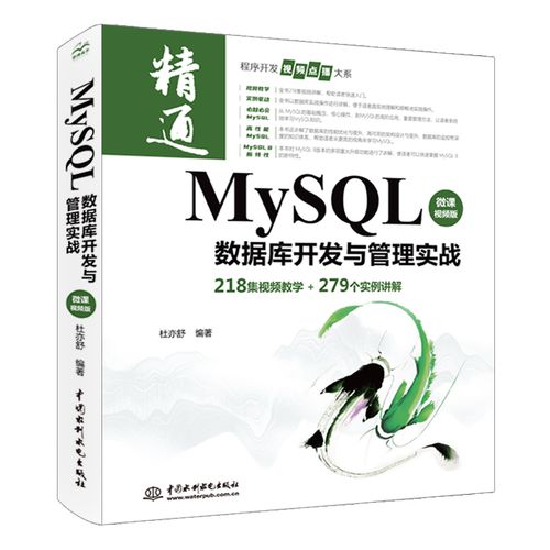 mysql从入门到精通 数据挖掘原理技术开发原理及应用 计算机语言编程